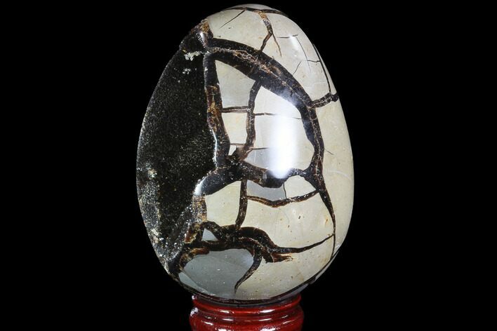 Septarian Dragon Egg Geode - Black Crystals #89582